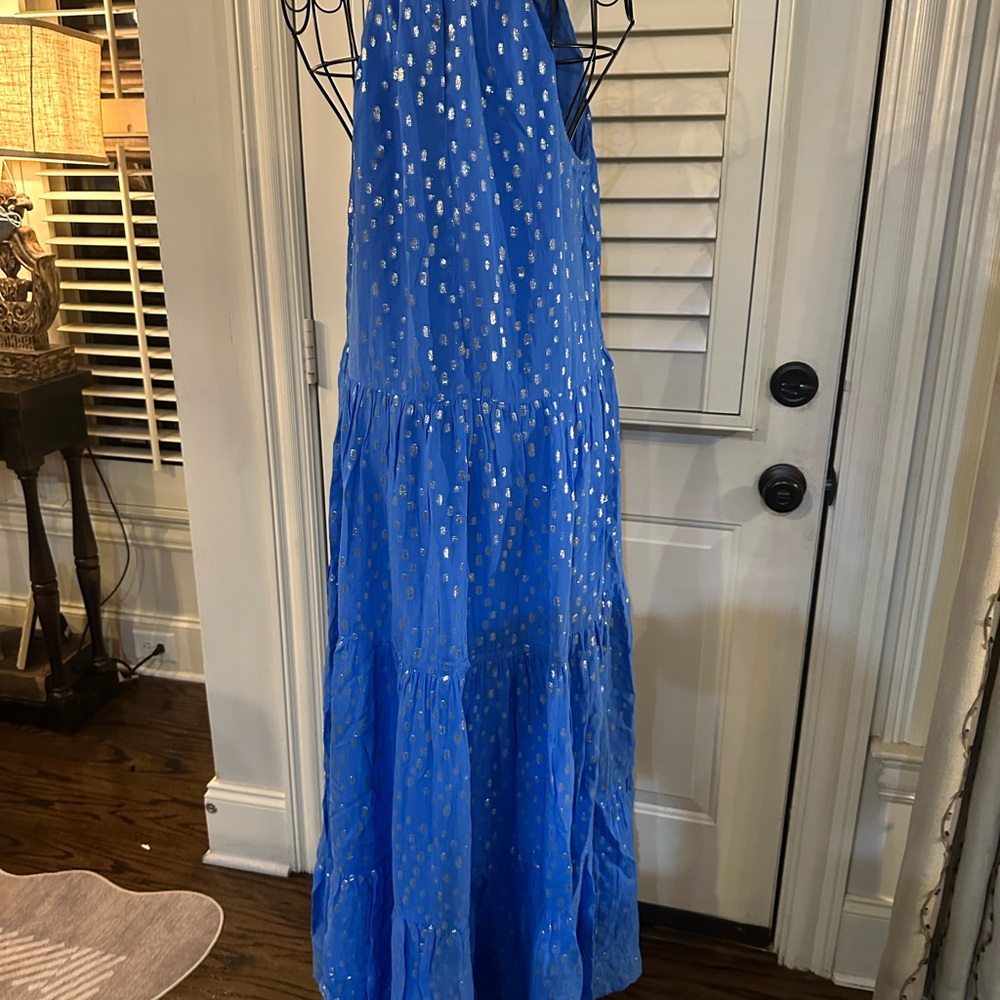 Lilly Pulitzer Blue Maxi Dress with Silver Accents - Picture 6 of 12